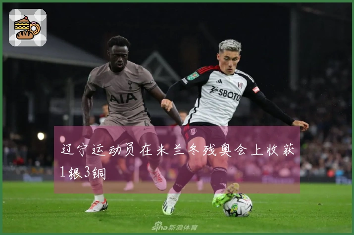 辽宁运动员在米兰冬残奥会上收获1银3铜