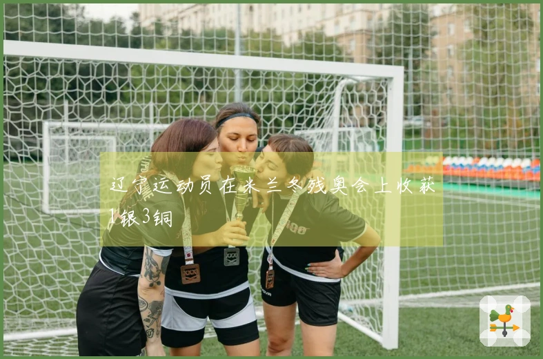 辽宁运动员在米兰冬残奥会上收获1银3铜