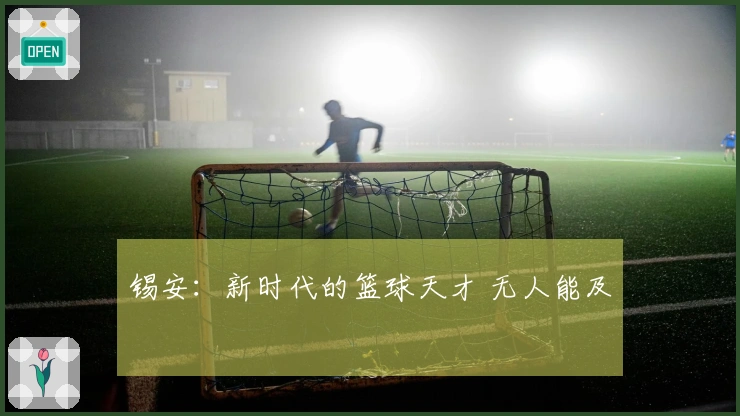 锡安：新时代的篮球天才 无人能及